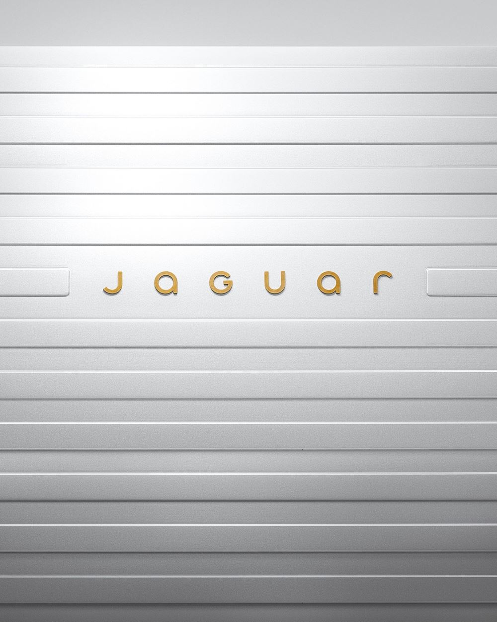 Jaguar New Brand Identity