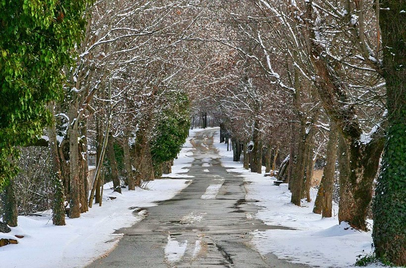 Δρόμος της Αγάπης Βυτίνα