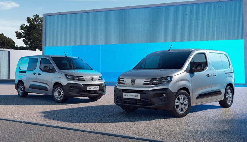 Peugeot gamma LCV