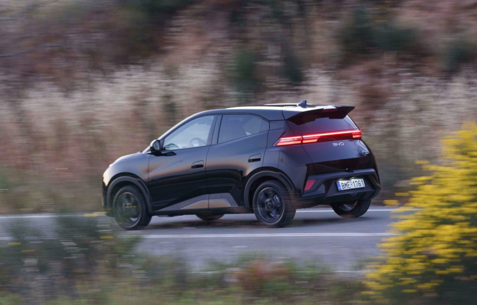 BYD Dolphin Surf