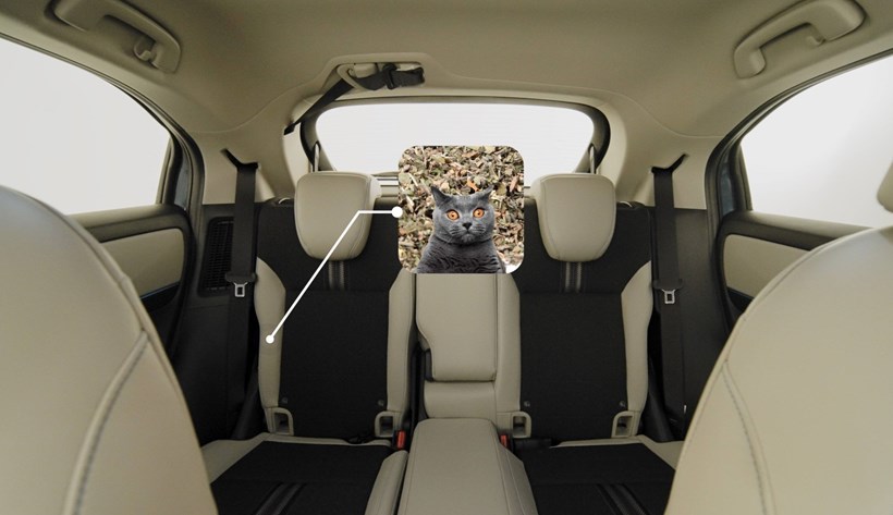 Honda CATNIP Seats