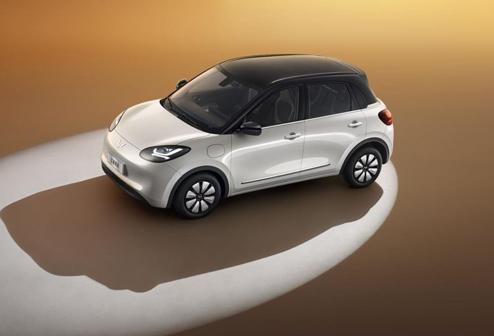 Wuling Bingo