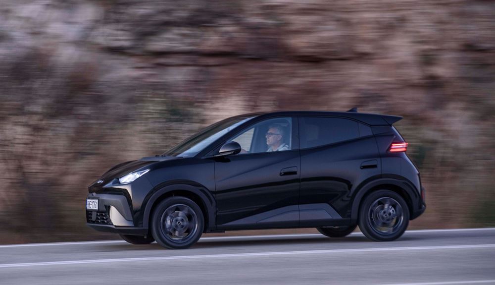 BYD Dolphin Surf