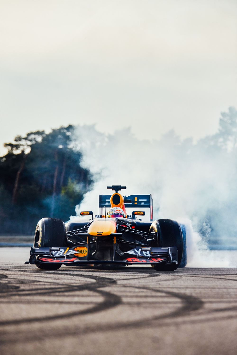 Max Verstappen Video Game