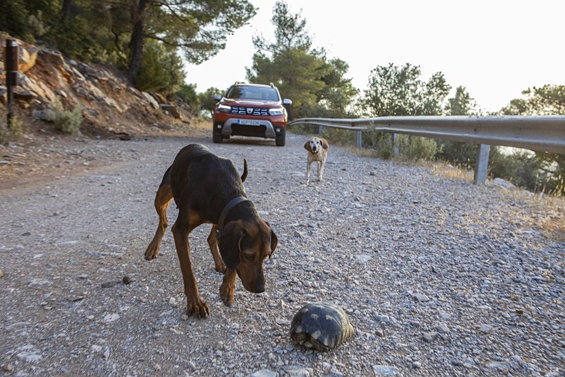 Dacia Duster 4wd 1.5 dCi