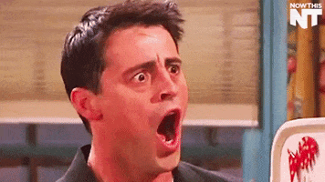 GIF Surprise