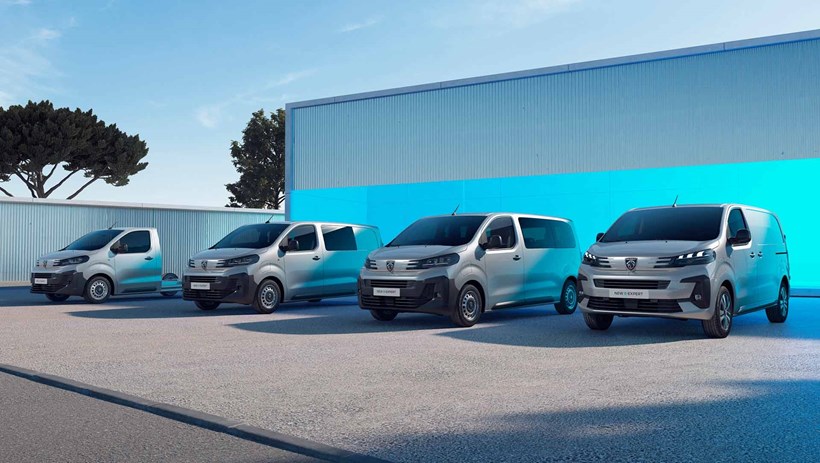 Peugeot gamma LCV
