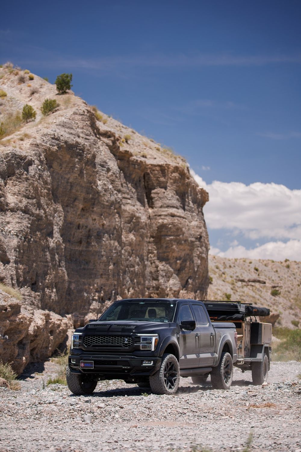 Shelby F-150 Super Truck