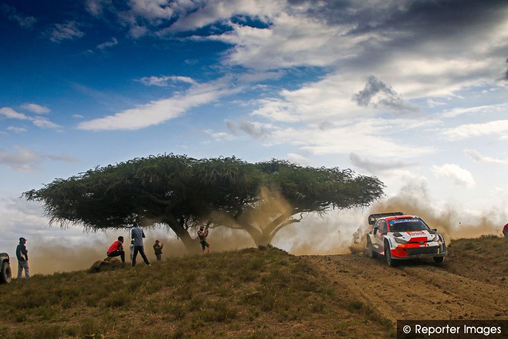 Safari Rally Gallery