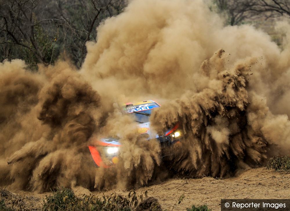 Safari Rally Galleryv