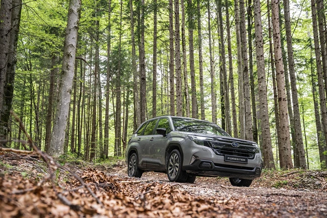 Subaru Forester MY2025