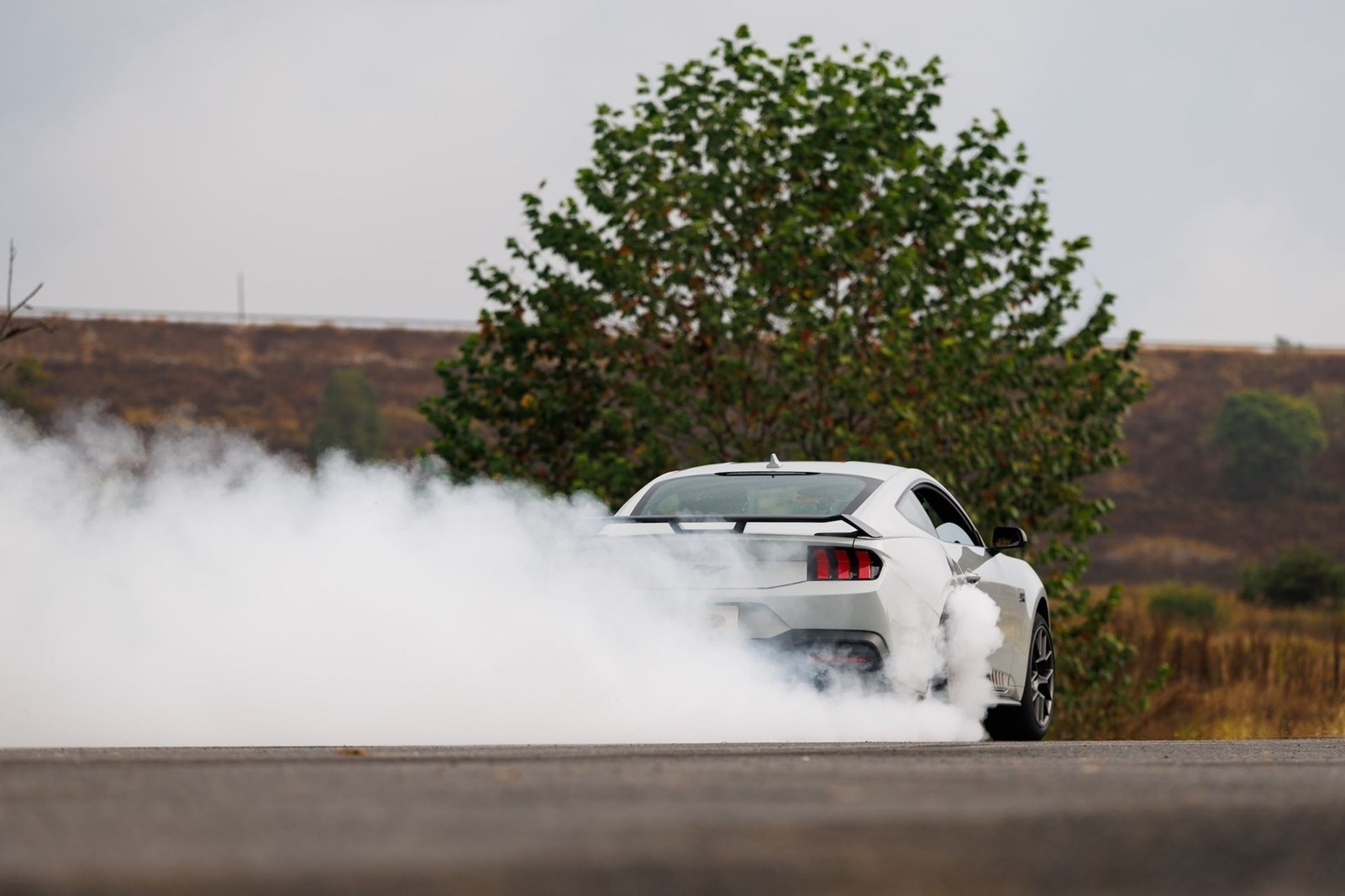 Ford Mustang RTR
