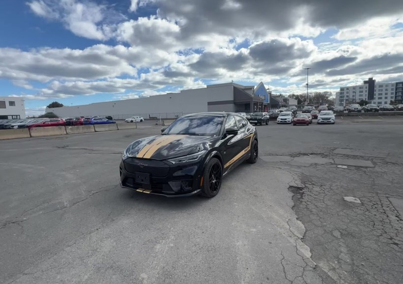 Shelby Mustang Hertz