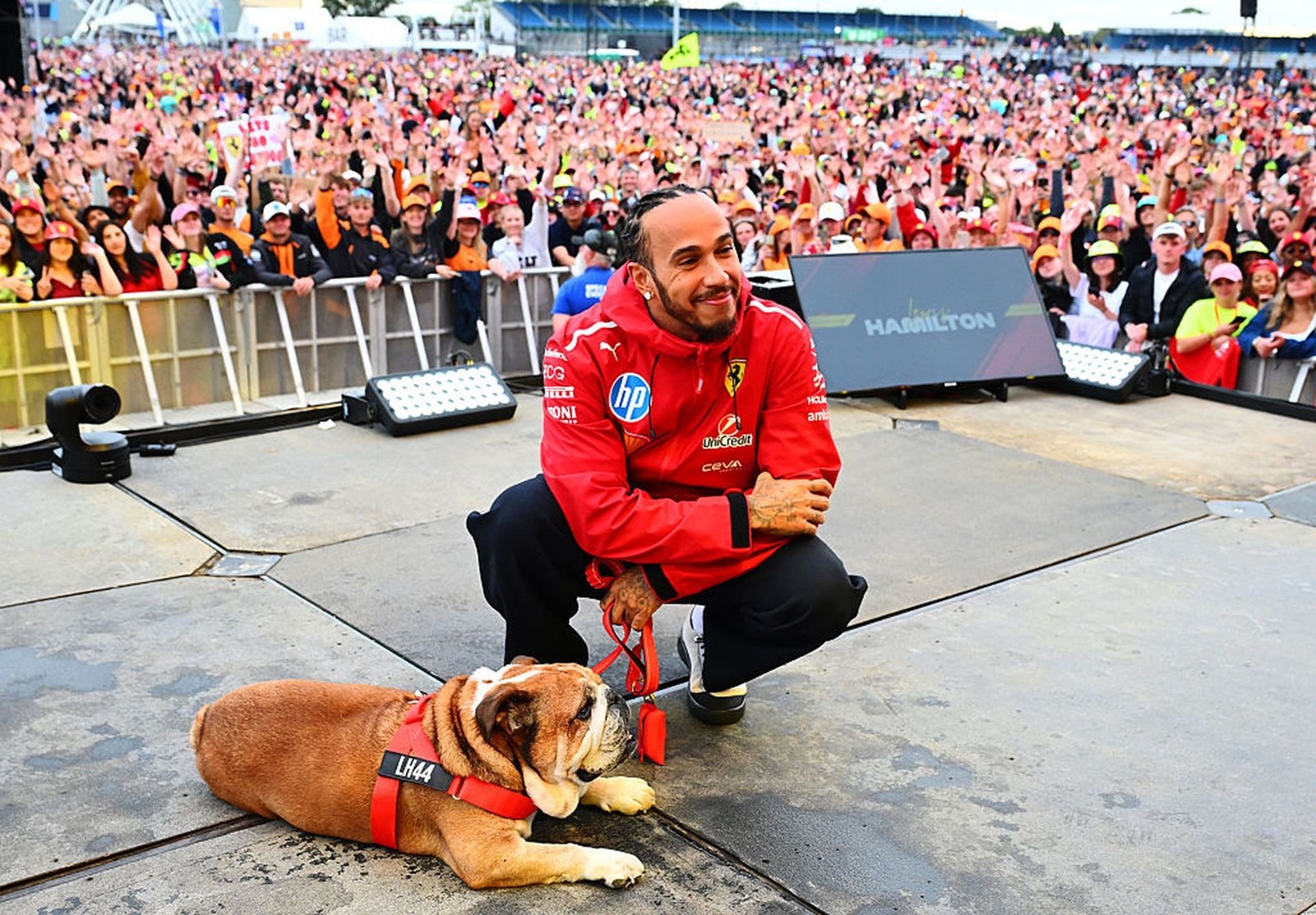 Lewis Hamilton σκύλος roscoe