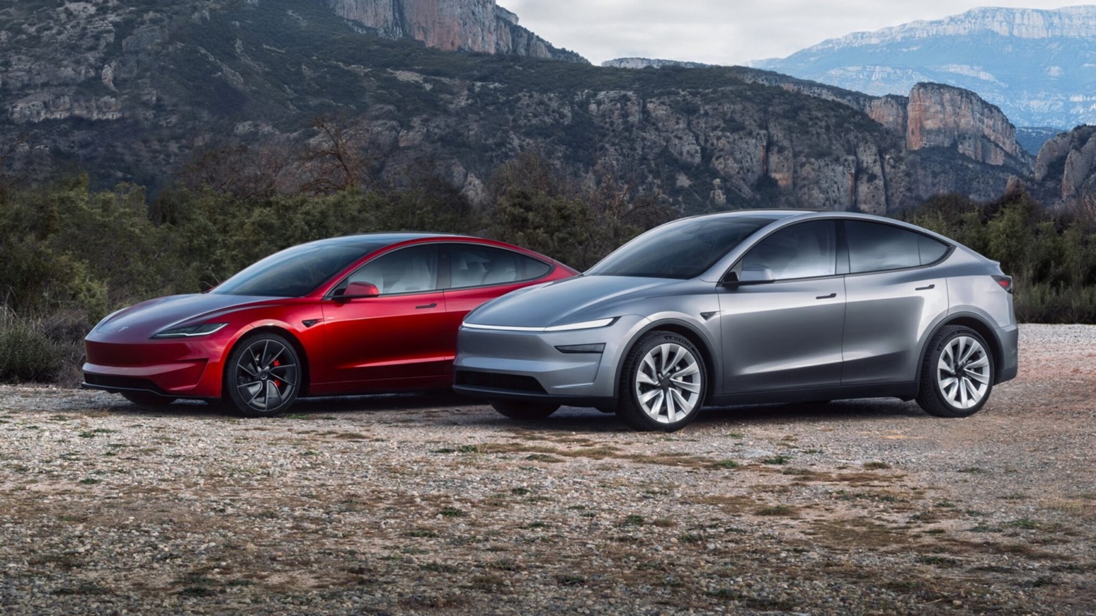 Tesla Model 3 & Model Y
