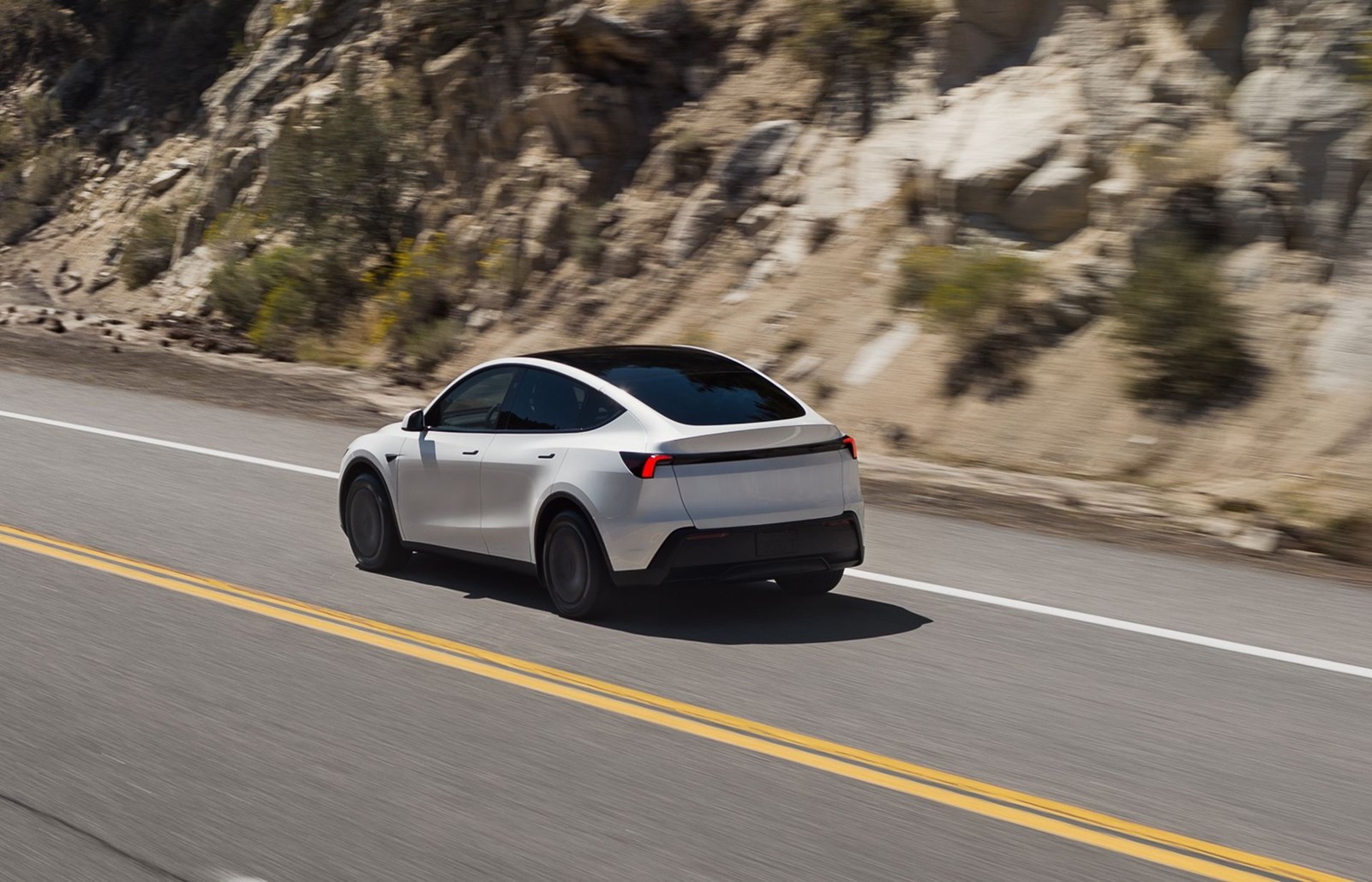 Tesla Model Y Standard