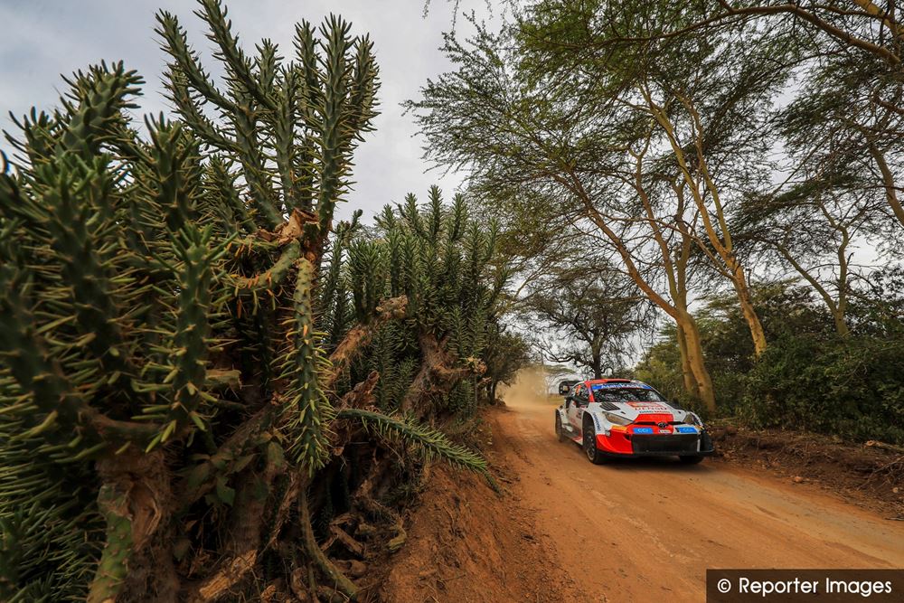 Safari Rally Gallery