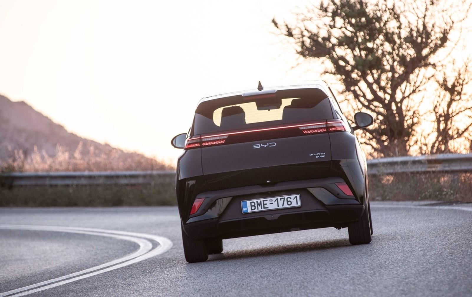 BYD Dolphin Surf
