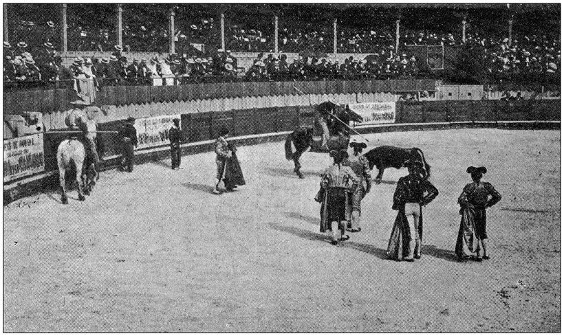 Lamborghini Bullfighting