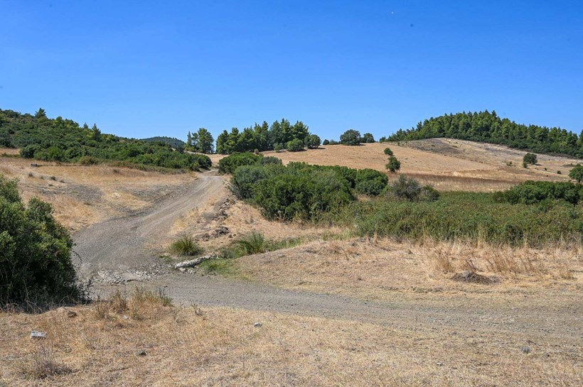 Regini Rally Acropolis 2024