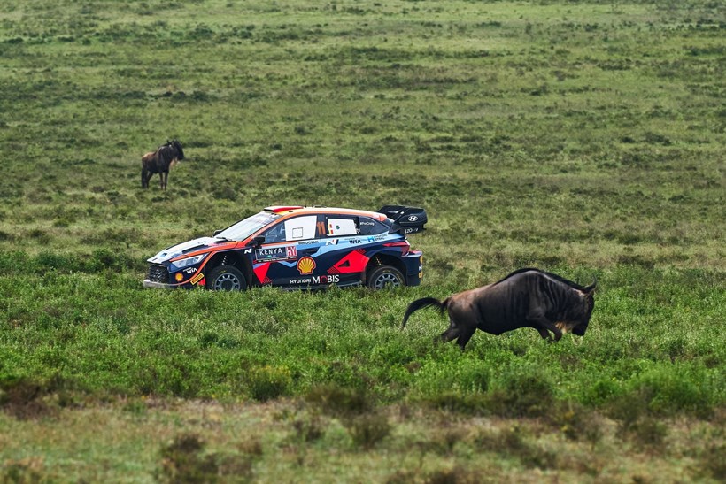 Safari Rally Kenya Hyundai