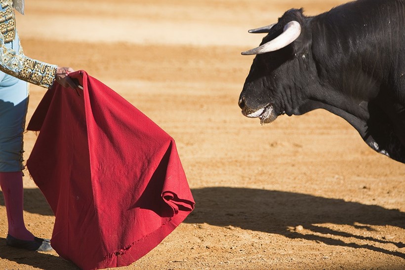 Lamborghini Bullfighting