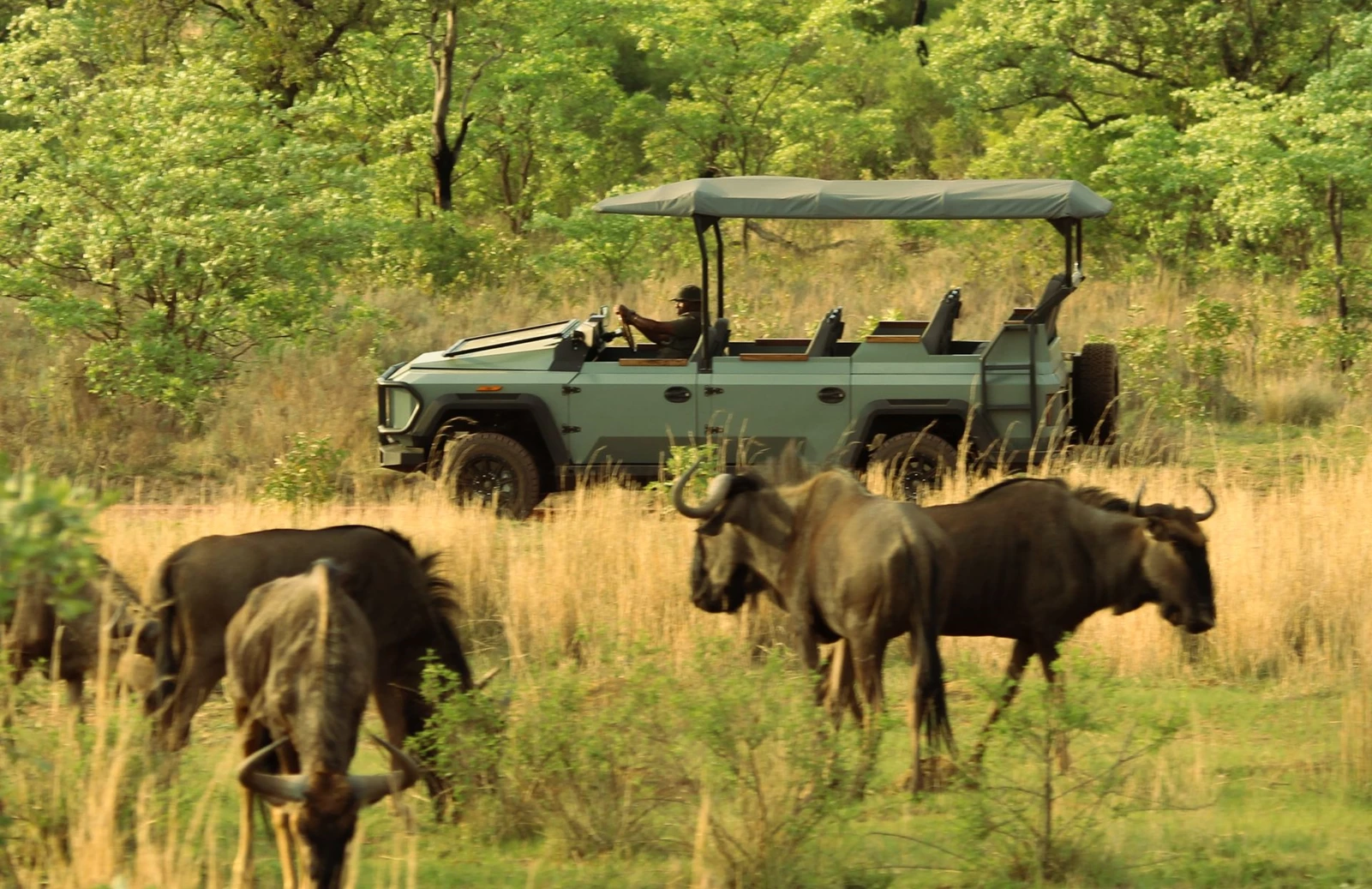 Thula Electric Safari Vehicle