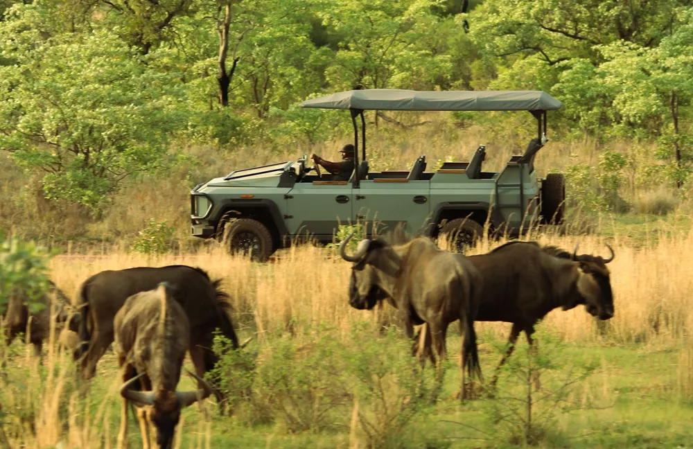 Thula Electric Safari Vehicle