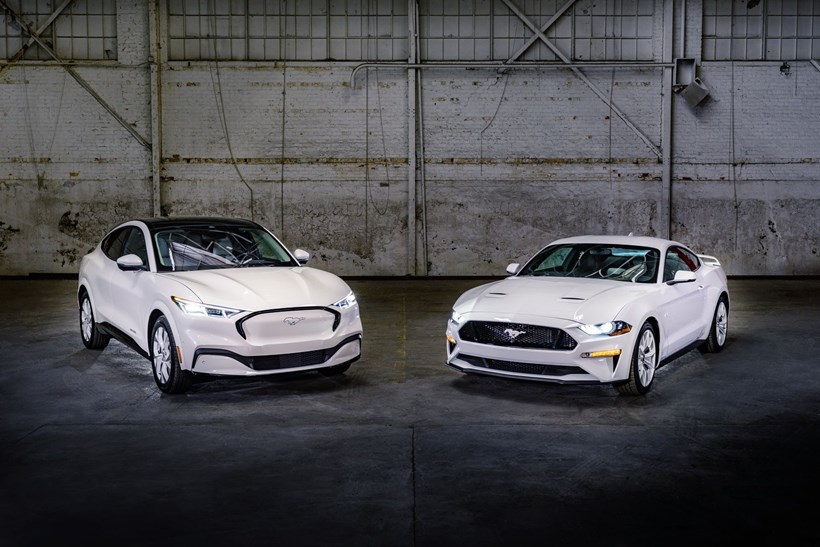 Mustang Ice White