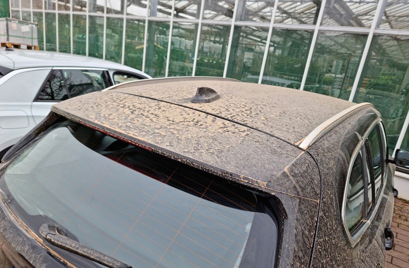 Sahara dust cars