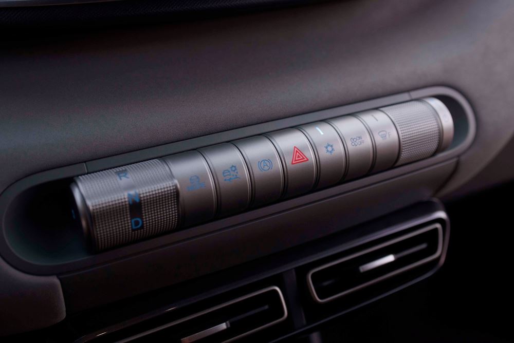 BYD Dolphin Surf