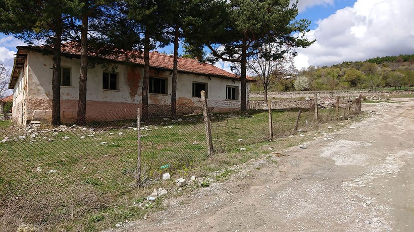 Alieno Factory