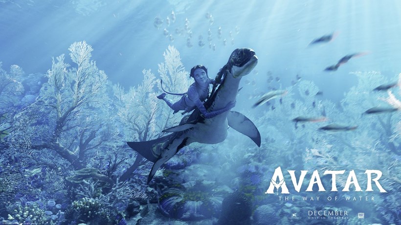 Avatar
