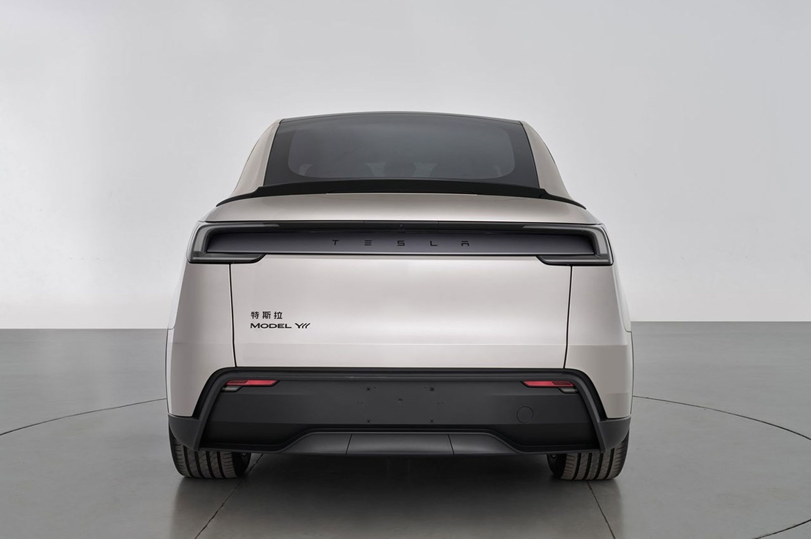 Tesla Model Y L