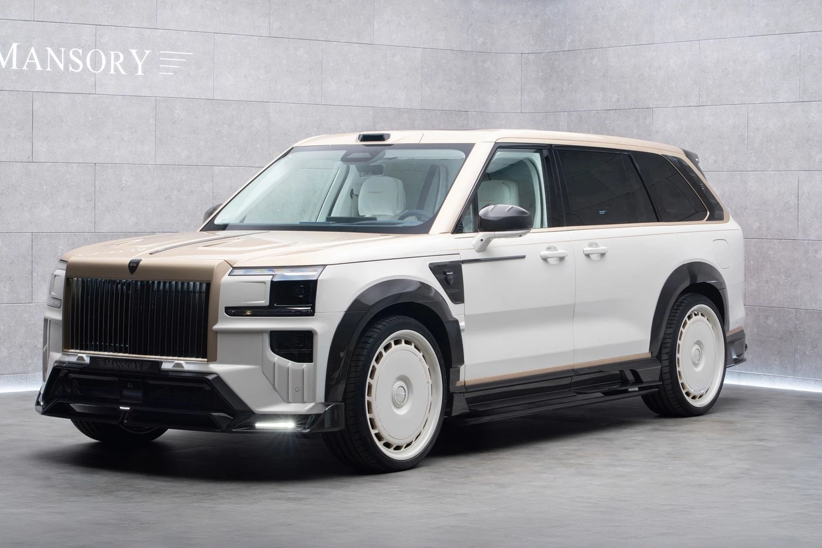 Mansory Zeekr 9X