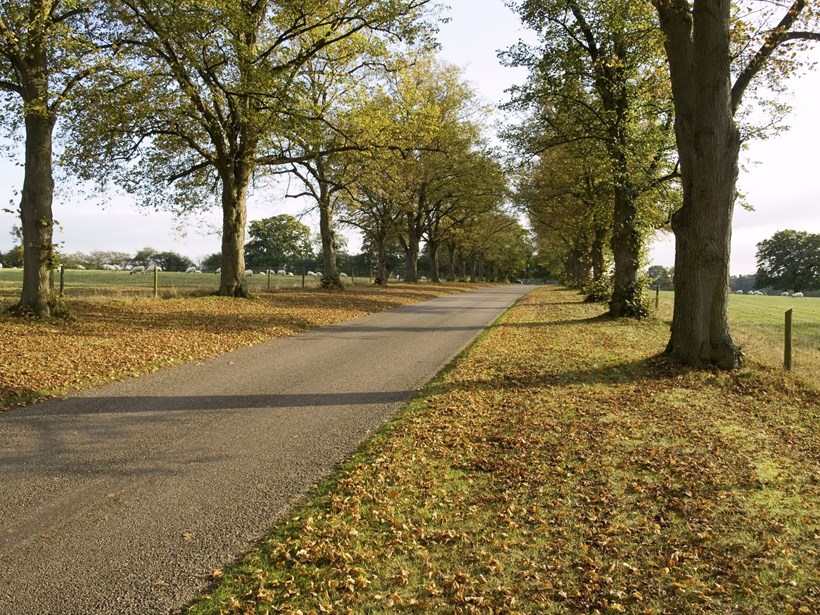 Στοιχειωμένοι δρόμοι Clinton Road