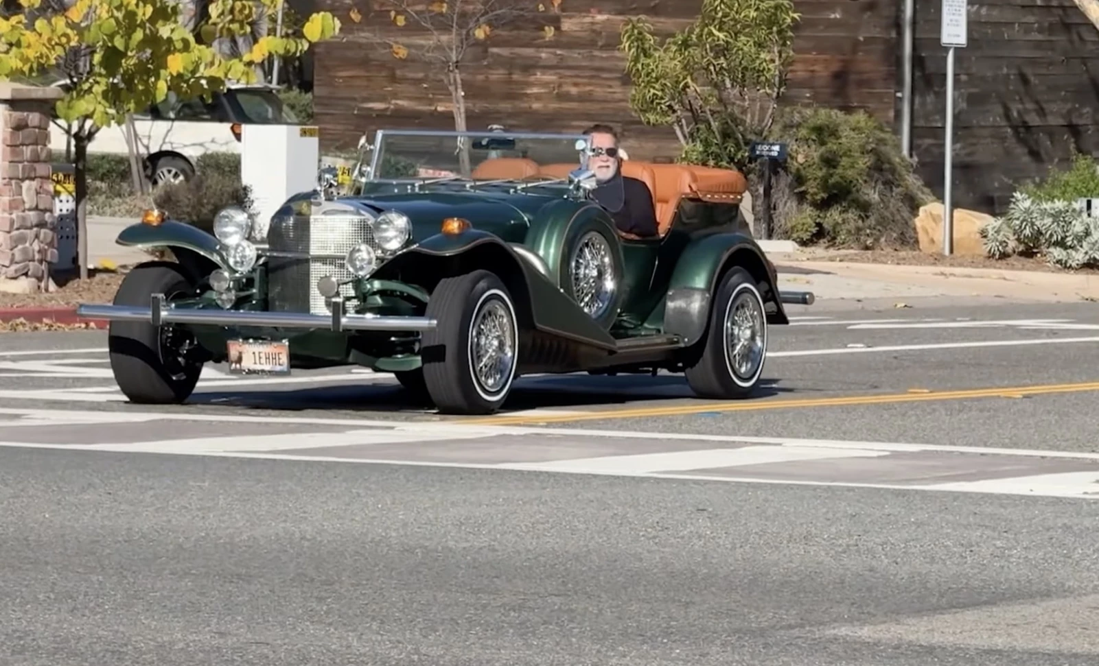 Arnold Schwarzenegger Excalibur