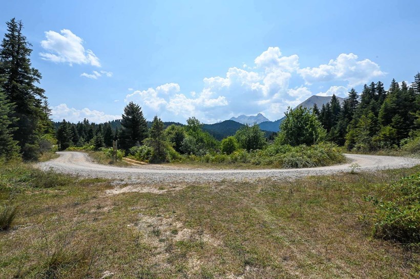 Dafni Rally Acropolis 2024