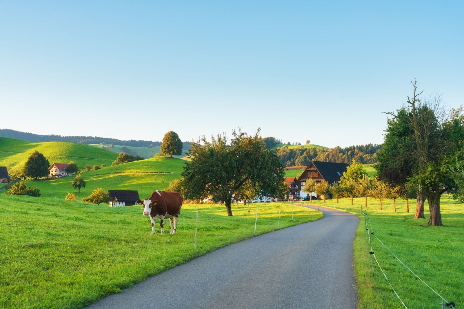 Φθινόπωρο διαδρομή για road trip