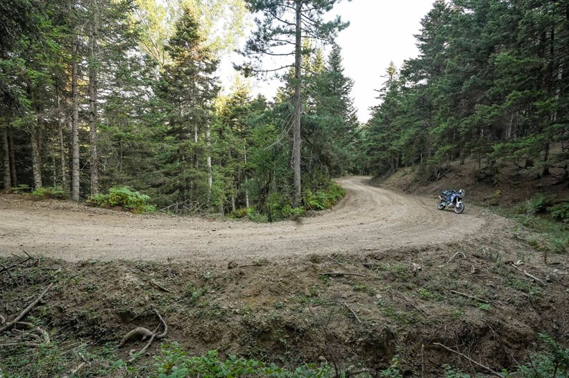 Tarzan1 Rally Acropolis 2024