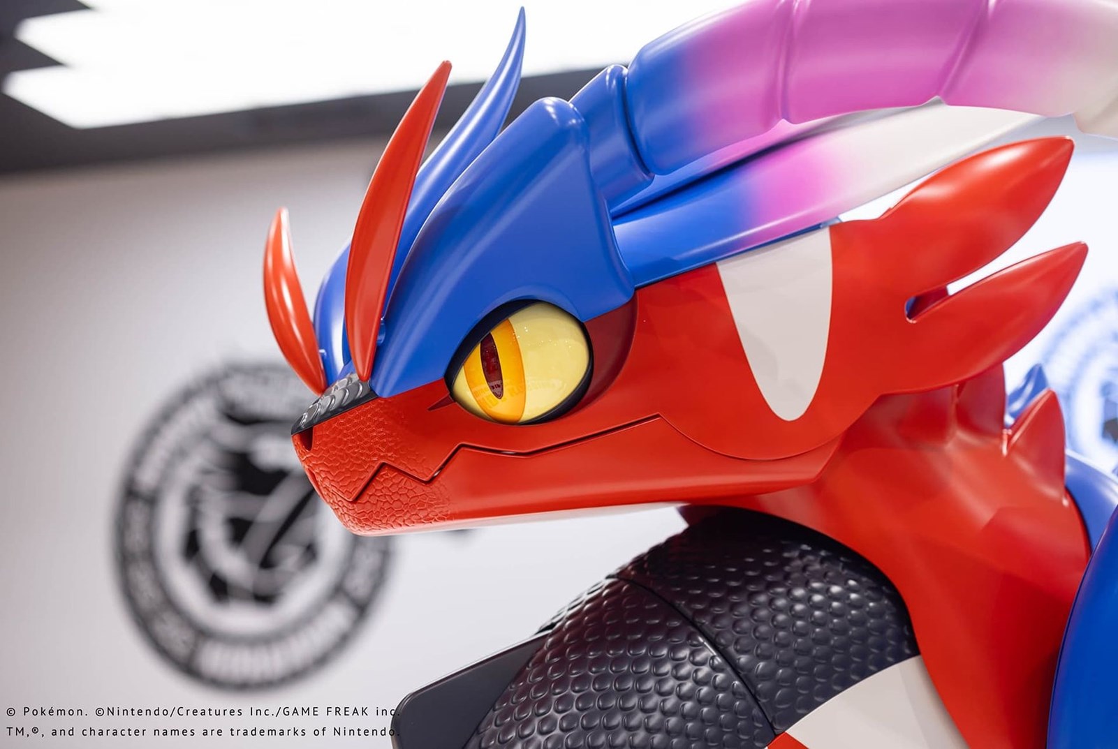 Honda Koraidon Pokemon