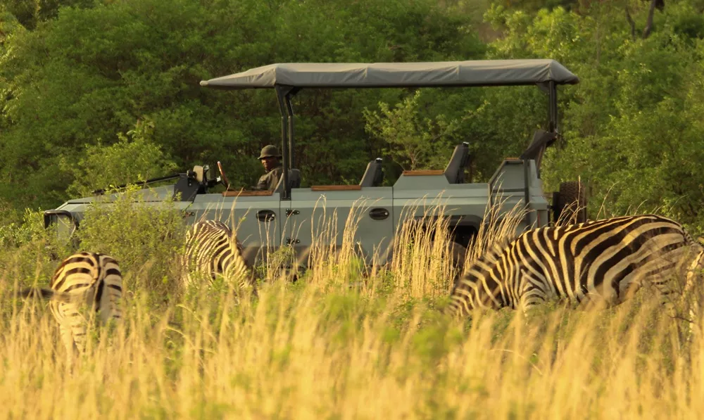 Thula Electric Safari Vehicle