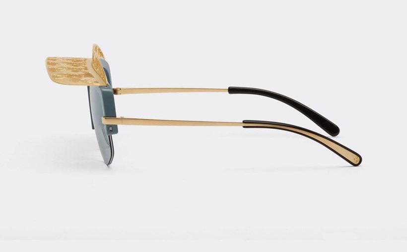 Ferrari Sunglasses