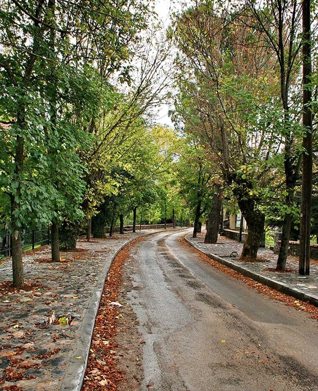 Δρόμος της Αγάπης Βυτίνα