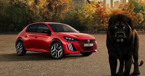 Πώς δρούσε η σπείρα με τα κλεμμένα αυτοκίνητα-πουλούσε μεταχειρισμένα με πλαστά χαρτιά - εικόνα 2