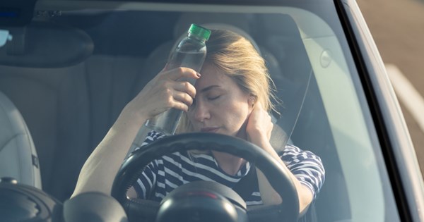Half-track Fox: Ο λοκατζής προπάππους του VW ID.Buzz - εικόνα 11