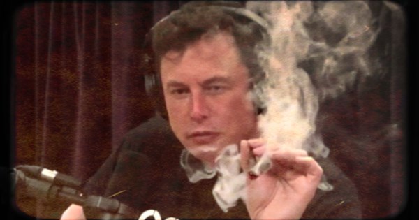 Αγροτικό κυκλοφορούσε με καρχαρία να περισσεύει από την καρότσα (video) - εικόνα 4