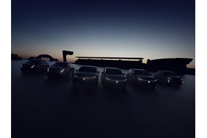 Η Peugeot στήριξε μια σημαντική πρωτοβουλία στην Πάρο - εικόνα 1