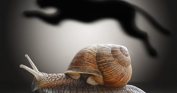 Ευρώπη: Επιστροφή στην κορυφή των πωλήσεων αυτοκινήτων για δημοφιλές SUV - εικόνα 2