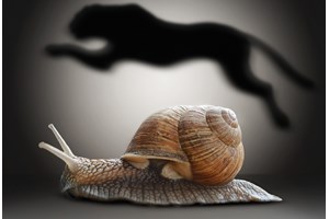 Ευρώπη: Επιστροφή στην κορυφή των πωλήσεων αυτοκινήτων για δημοφιλές SUV - εικόνα 2